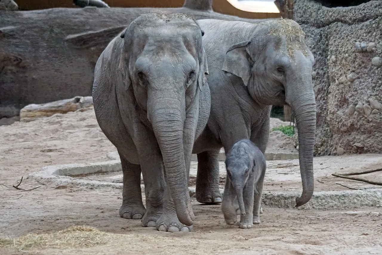 Zoo zürich
